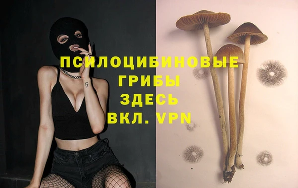 ALPHA PVP Алексеевка